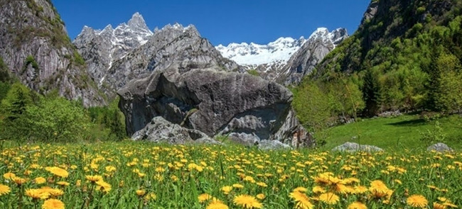 Agosto in Valtellina. Cosa fare?