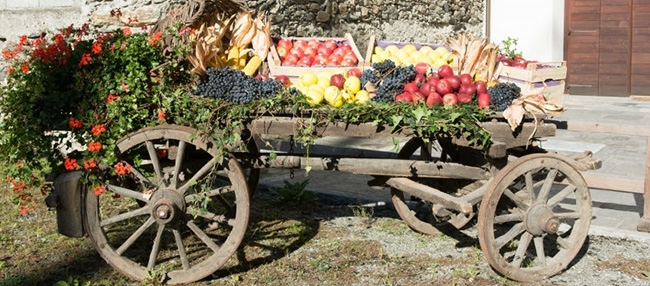 Autunno in Valtellina: che cosa fare?